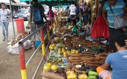 Labasa market